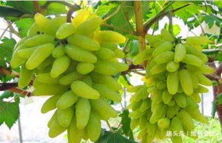 营养|女性担心自己老太快，要多吃3种食物，补充营养，滋养女性子宫