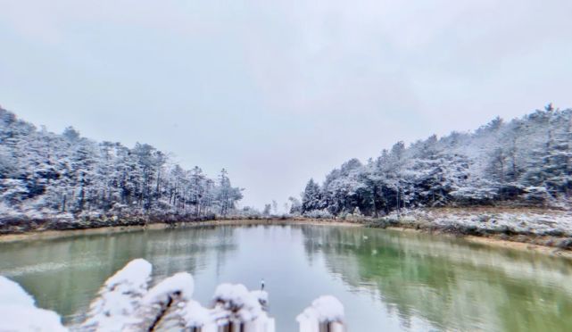 第一场雪|盛会逢瑞雪 期盼新丰年