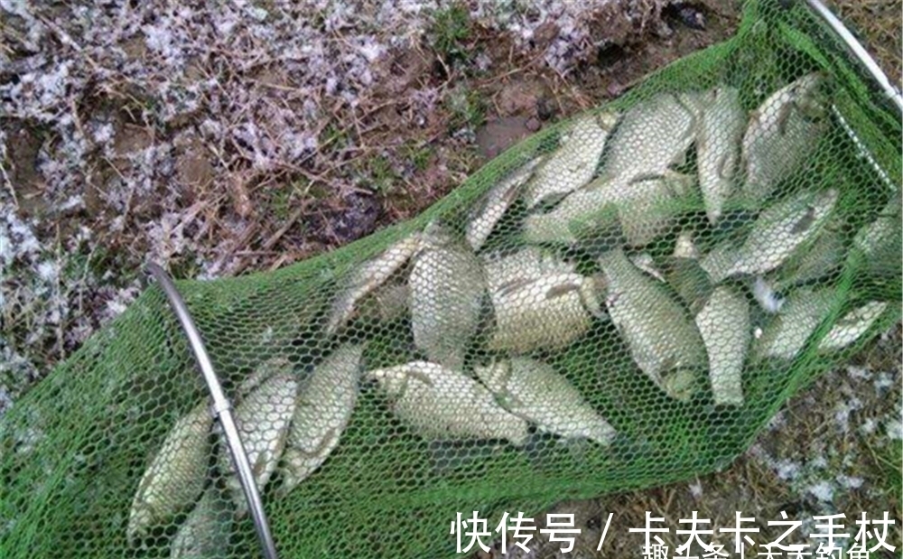 冬钓鲫鱼,调漂有2小原则,调漂不当全是空枪,调漂得当连竿上鱼