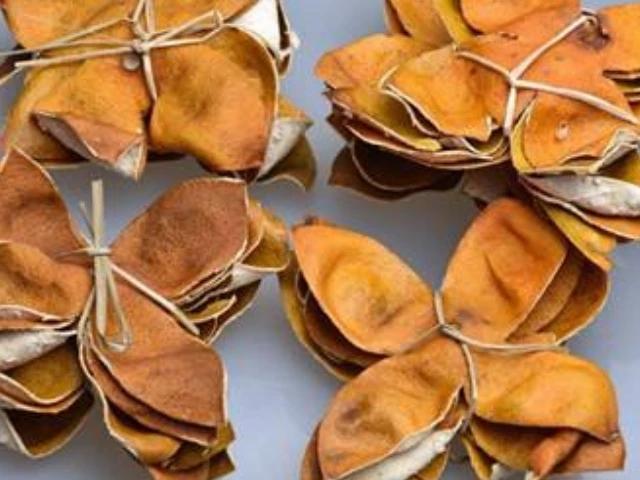 尿酸|尿酸的“冤家”找到了,常用4物泡水喝,平衡尿酸,痛风或不来扰