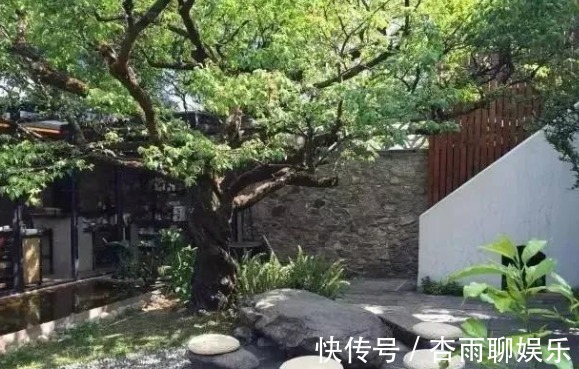 生命力|院子里长出这5种草,看到就铲除别犹豫,留下会“后患无穷”