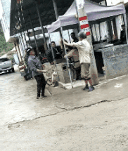 |搞笑GIF:我想知道你昨晚干什么去了,怎么会困成这样?