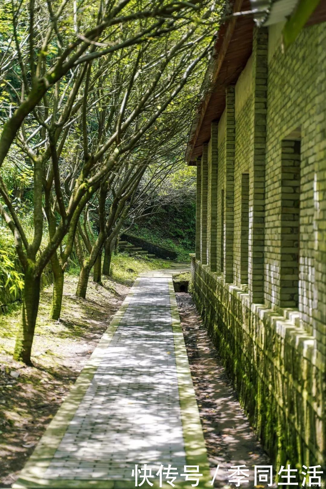 漂流|这个浙江宝藏小城，藏着碧海蓝天、森林秘境、宁静村落