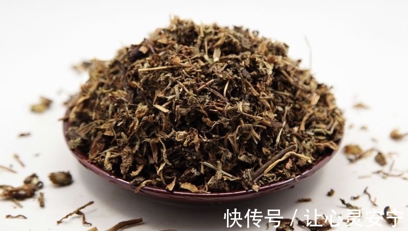 蒲公英|蒲公英不是万能药,但四个主要作用名不虚传,希望不要喝错