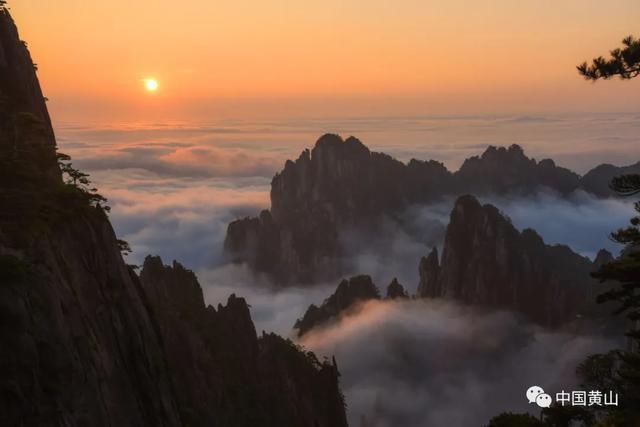 寻秋记|「黄山寻秋记」暮色黄山 心神向往