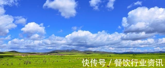 牛肉和羊肉的5种家常做法，非常值得亲自下厨