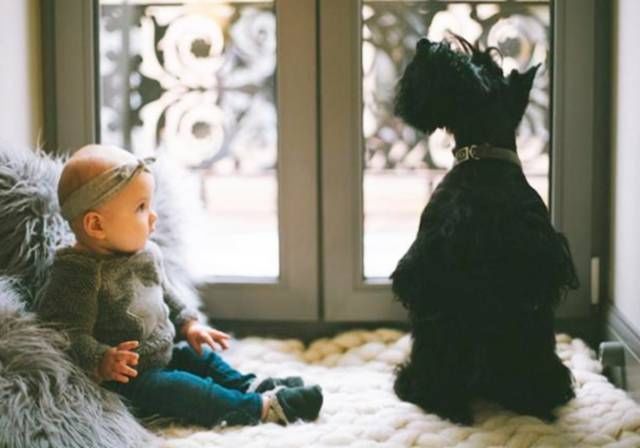 牛顿|孩子智商越高“怪癖”越多,父母要能捕捉到,别扼杀了“小天才”