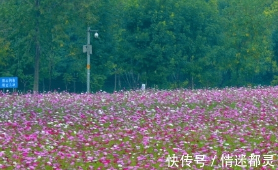 财势|11月初来临，事业蒸蒸日上，财势暴涨事事顺利的四大生肖