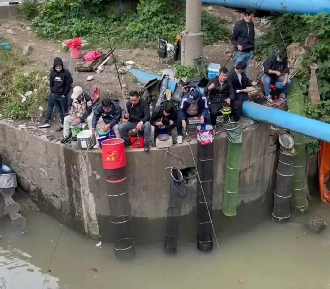 上海与众不同的“黑坑”,钓鱼不要交费,每天都有成百上千人聚集