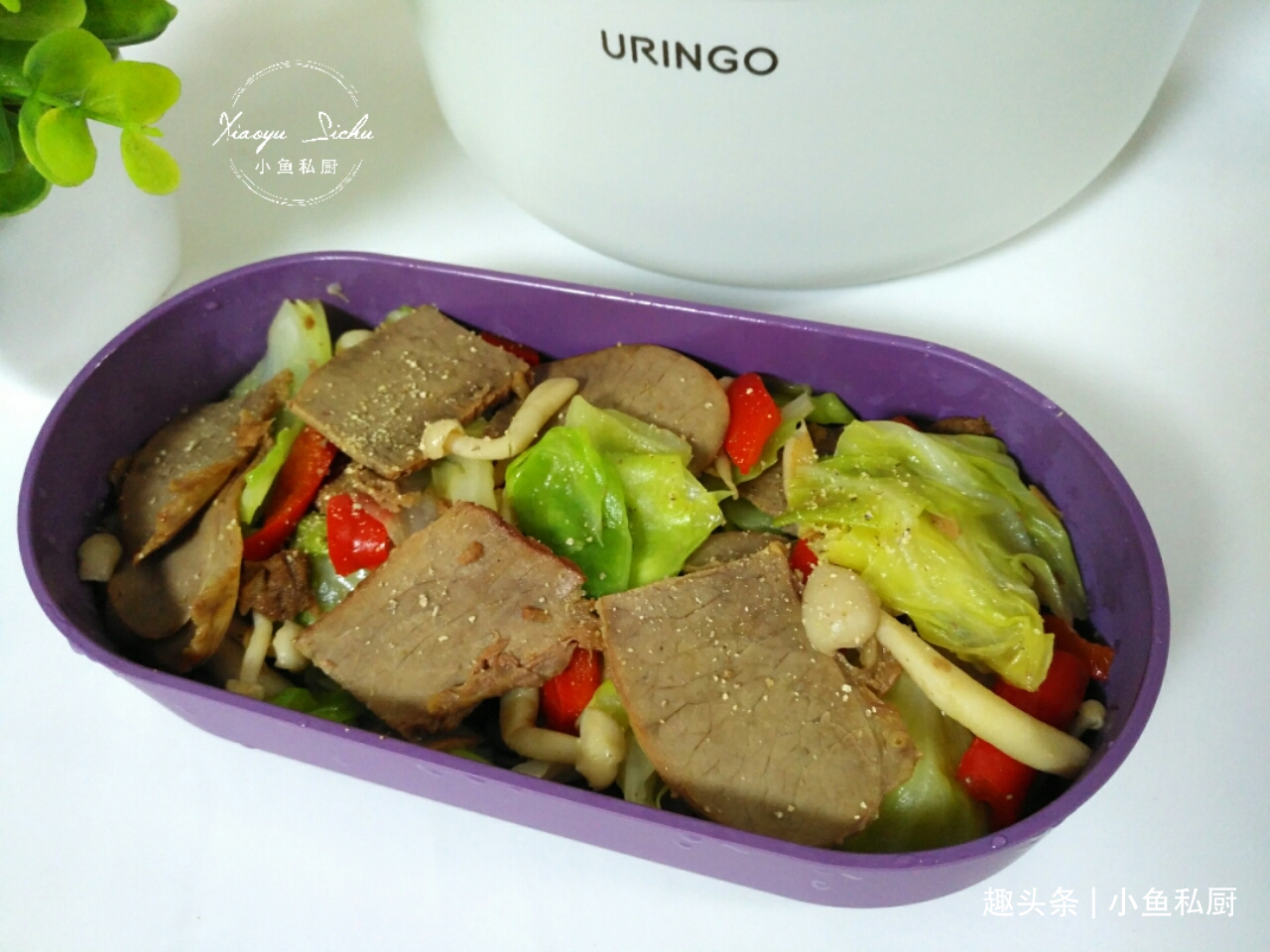 燜菜|尹正真的沒(méi)騙我!減脂吃燜菜,我20天瘦了10斤,怕胖的人就吃它