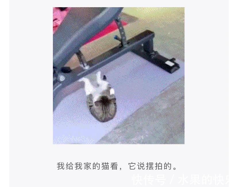 |神评段子合集:罗老师这种专门讲课的律师,真正打官司的水平怎么样?