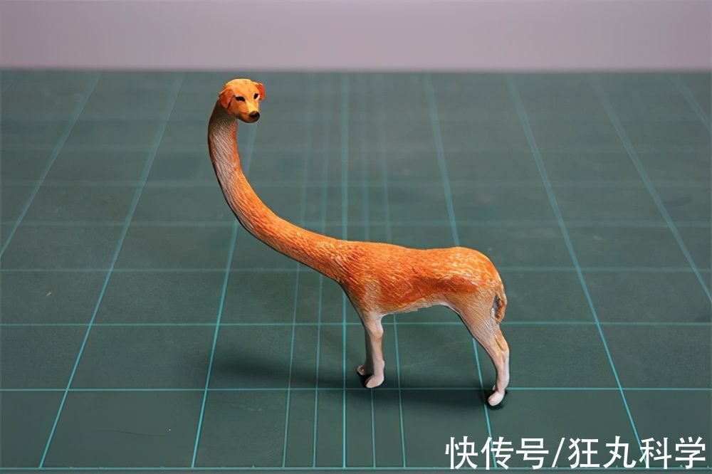 长颈狗|全球的猫都想屏蔽这个日本人,他到底做了多少沙雕手办?