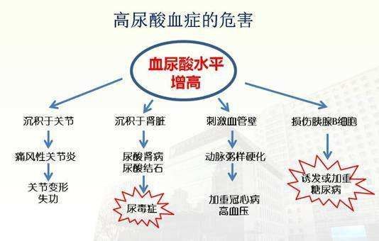 体检报告|体检报告上这个数值要注意！代表着多种疾病的发病基础及诱发因素.......