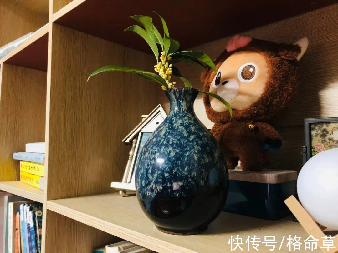 香远&原创诗词|忽如一夜桂花来,苦等三天恰自开