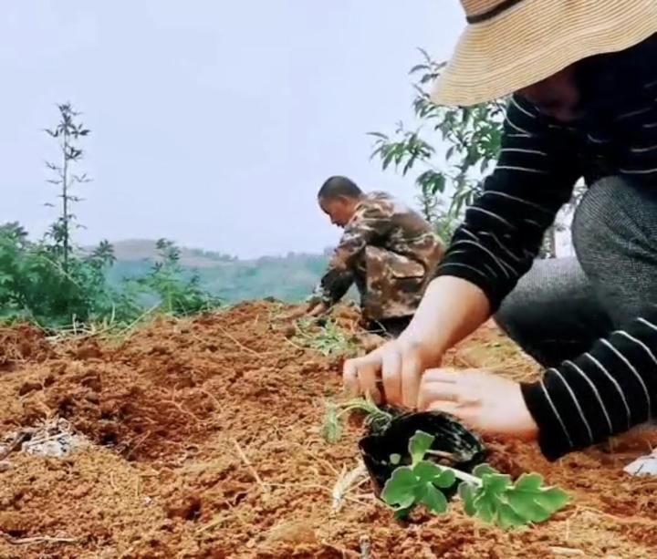 陈宅|诸暨神仙眷侣在大山生活9年，拍下绝美云海惊艳朋友圈