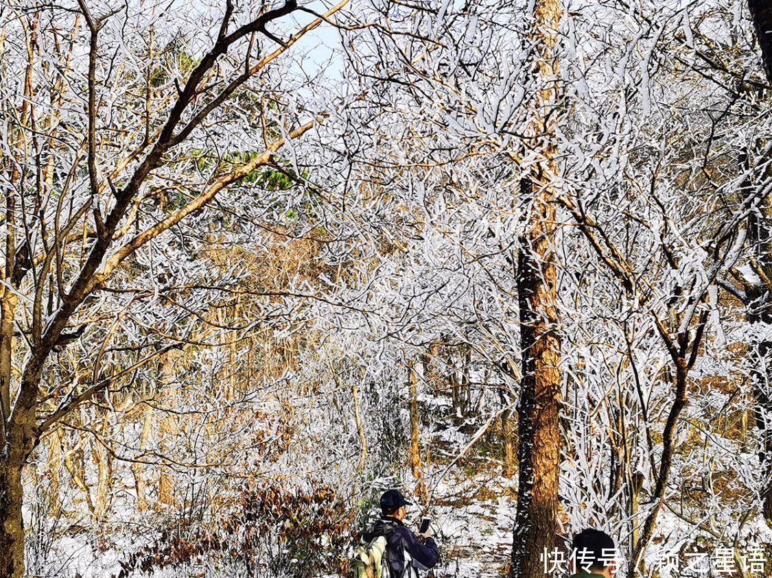 黄泥浆岗|宁波第二高峰，雪国风光，雾凇奇观