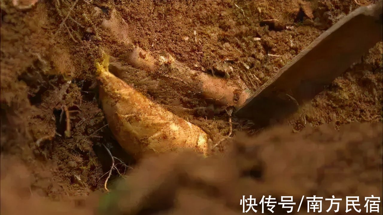 羊肉|莫干山一座像极了童话故事中的雪中小屋温泉民宿丨云岸山居