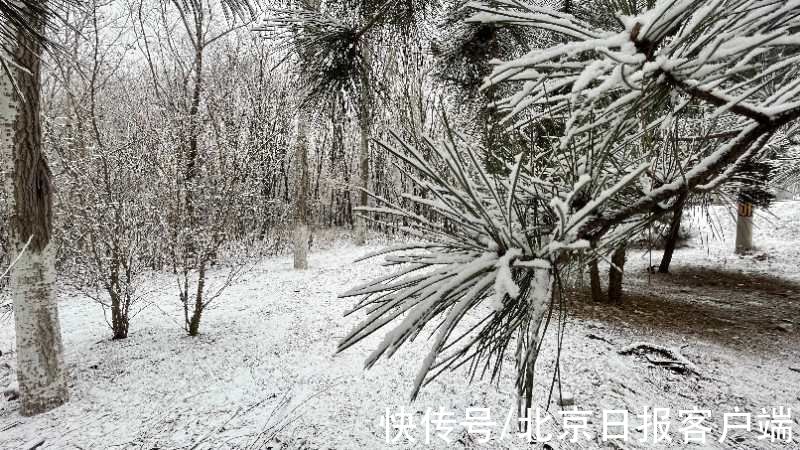 丰台|宛若水墨画！一起来看北京丰台的雪