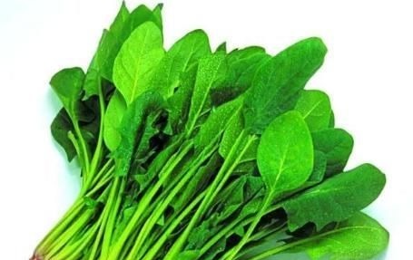 肝病|“养肝不吃药”?常吃5种食物,肝脏一天比一天好,肝病不来打扰