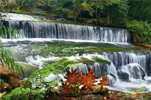 生态|武定县水城村依托乡村旅游释放生态红利