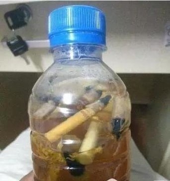 草木灰|养花就怕“生虫子”,平时浇水加点“它”,杀菌灭虫,放心养花