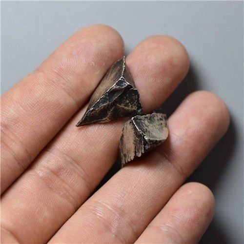  专家|古代银子是什么样的？专家：上面全是污垢和牙印，会颠覆你的想象