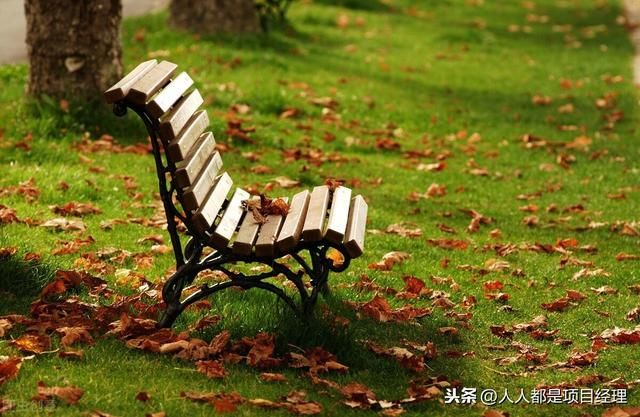  豺狼当道|“豺狼当道”背后的历史故事你知道吗？