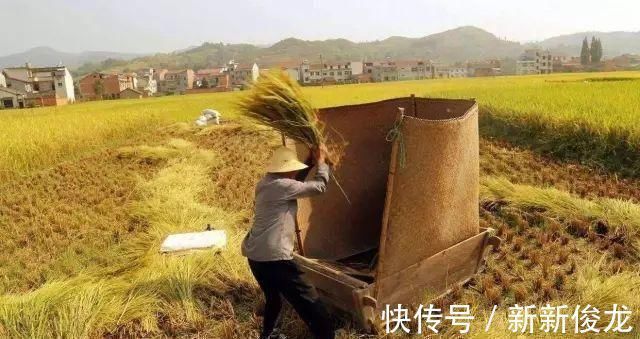 凤堰古梯田|隐藏在安康的世外桃源，凤堰古梯田迎来一年最美季