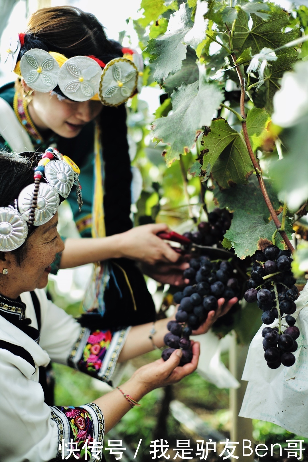 山居|丽世四家新酒店十月开放，看尽最美茶马古道