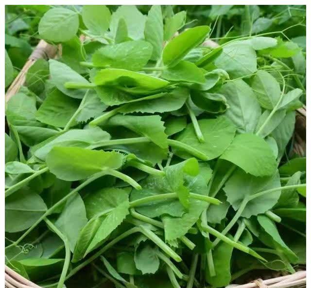 胡萝卜|当妈的要知道,冬天有6种食材不会打农药,营养丰富,做给孩子吃