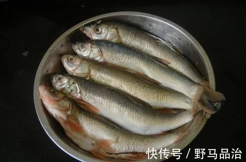 保鲜膜|不管解冻什么鱼，别直接用水泡，学会这招，吃着跟活鱼一样鲜