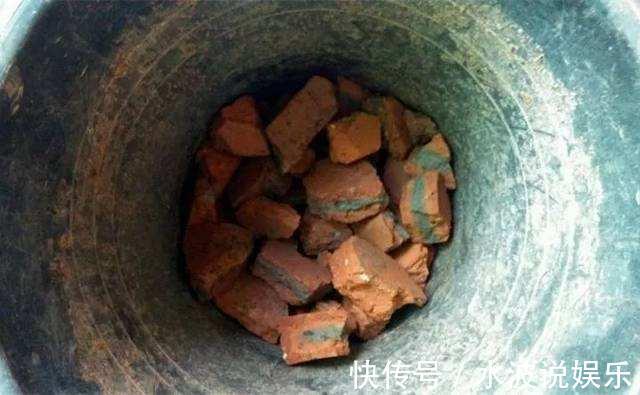 瓦块|高手养花的3个“法宝”,不烂根不黄叶,比啥土、啥肥都好