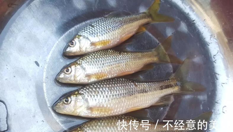 提醒：有5种鱼尽量少吃，很多人可能还不清楚，本文告诉答案