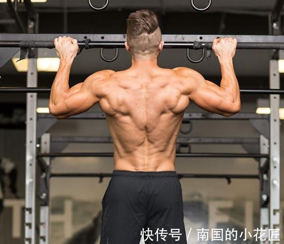 引体向上|如何练出雄壮背阔肌?细致3步令你变强,提高你健美的外形