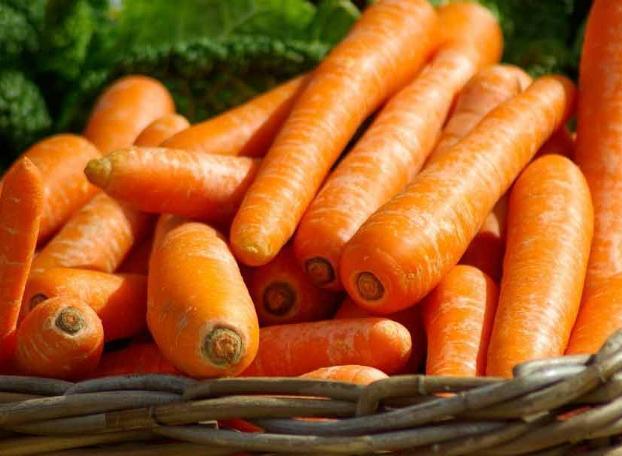 醋胡萝卜|让人倒下的不是病,而是无知!吃胡萝卜2大禁忌,大家来看下!