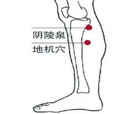 肺气|喉咙痰多，还老是咳不干净？中医教你正确排痰