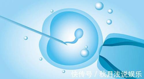 试管婴儿|做试管婴儿究竟有多疼?看完才知道当妈妈多不容易,赶紧孝顺吧!