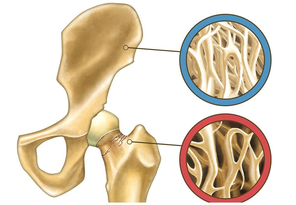 中老年人|113岁长寿老人年轻似63岁,长寿秘诀不是多走路,而是这3件事