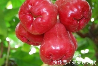 此物|入冬后,每天吃点此物,可美白瘦身,美容补水,是女人的救星!