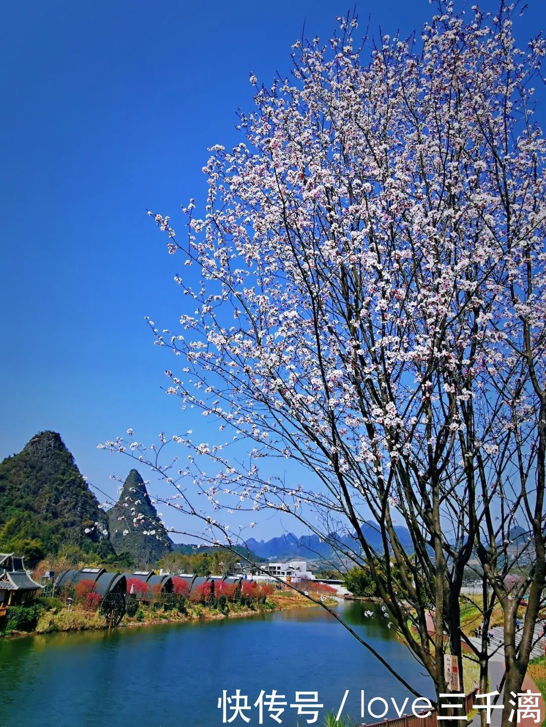 三千漓丨春风送暖百花开，正是赏景好时节