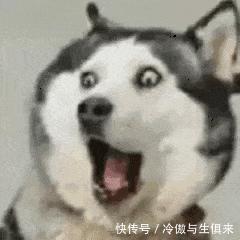 一万的包,四十万的学费,开着保时捷去上班,这是令人心动的阶层