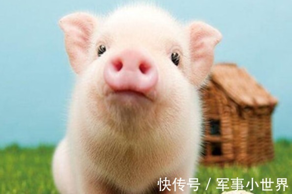 唐李贤&老人说,2022虎年“八人分二饼,六屠共三猪”有道理吗