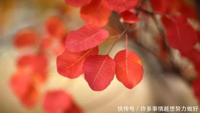 人生,没有下辈子