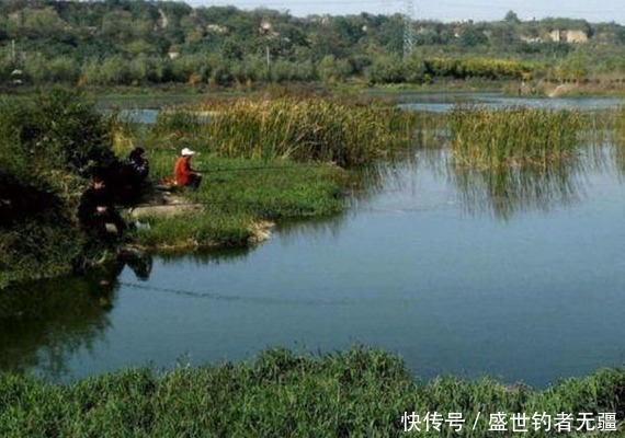 教你垂钓时如何选钓位的三大绝招,上鱼效果错不了!——盛世三渔