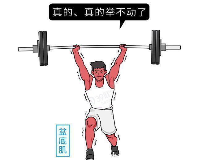 肌肉群|别不好意思：盆底肌训练真的很养生！锻炼持久力，男女都获益