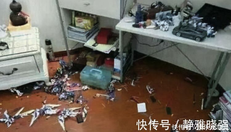 吉诺特|熊孩子弄坏20万手办,家长拒绝赔偿:“一堆破烂不值钱,孩子小”