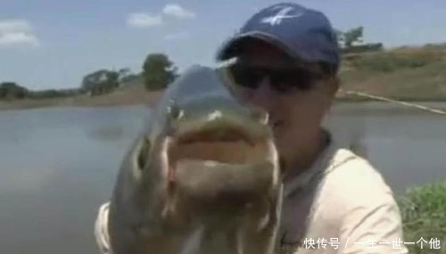 大叔钓大鱼被拉入河中不忍放弃,为了大鱼命都不要了