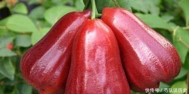 补充营养|聪明的人爱吃3种食物，补充营养、延缓衰老，早吃早好！