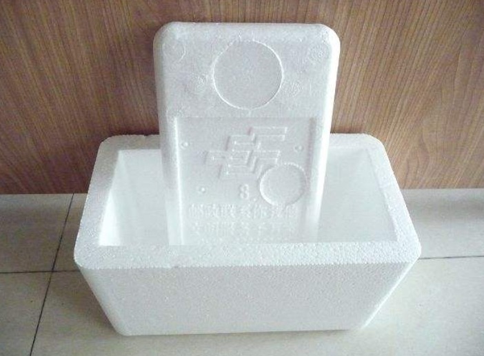 泡沫箱别丢!掰一块扦插养花,省钱实用,用途极广