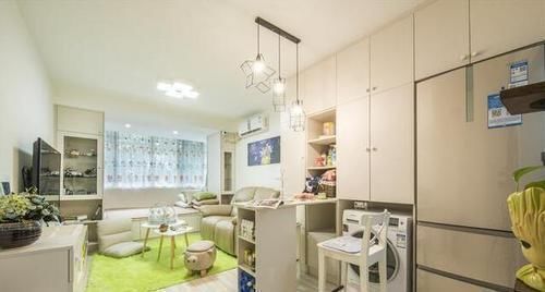小区|这是我见过最小的户型，全屋不到30平米，完工后火遍全小区